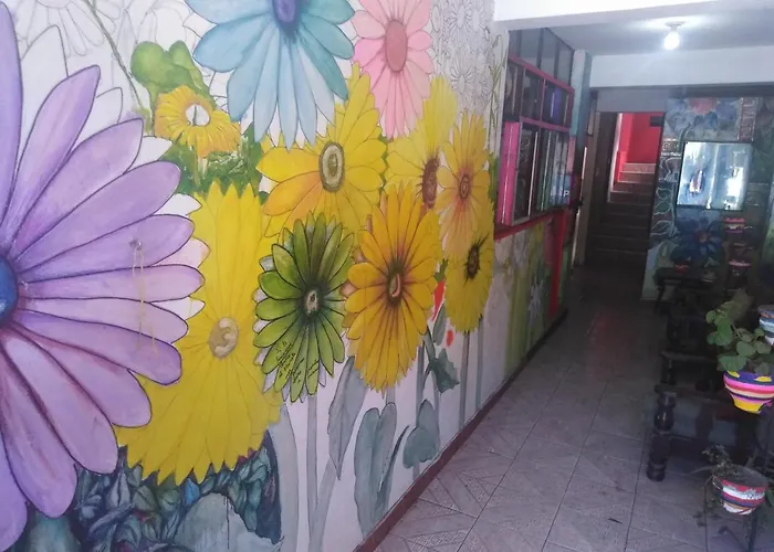 De Colores Hostel *