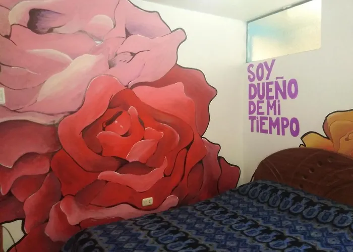 De Colores Hostel *